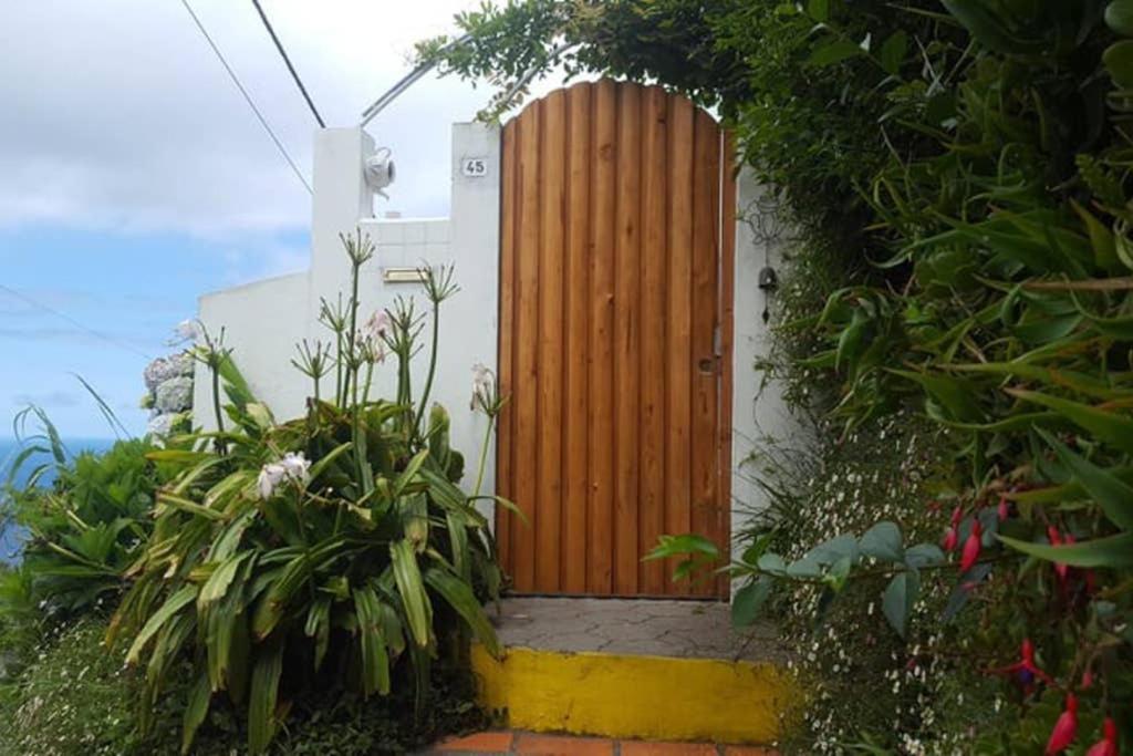 Sunset Nest Ponta Delgada - Açores Exterior foto