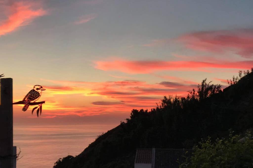 Sunset Nest Ponta Delgada - Açores Exterior foto